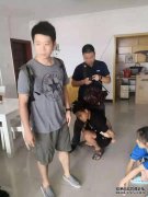 去年，石家killed杀害了118名涉及黑暗的
