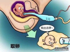 如何在接受测试后给宝宝喂奶？