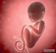 宝马总觉得胎儿在子宫里跳舞。这家人