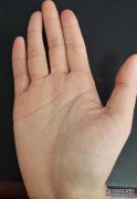 这种类型的棕榈树男人很容易赔钱。
