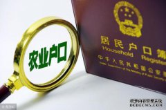 隐形武力迫使农民购买城市建筑物。很