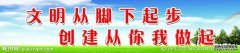 S正式亮相C，可以期待强大的未来价值