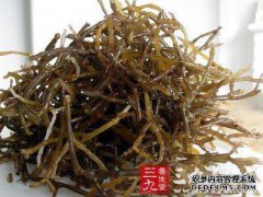 [现在德]