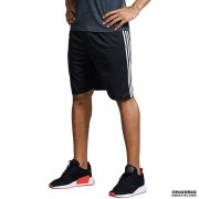 下载BU Sports