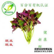 保健食品
