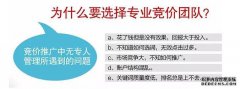 快速分类优化系统-10,000个单词-网络Pu