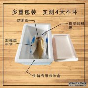 您见过梯形的球皮吗？