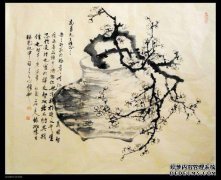 [梅Shen看]