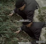 代替人陪人不好吗？孔子为什么说“请
