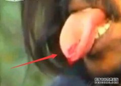 什么是残破的语言？你有病吗