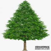 [松松树脂]