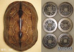 六向预测，六向算命，纳兹亚·罗娜，周