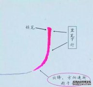 学习用四种方式写“树”一词。为什么